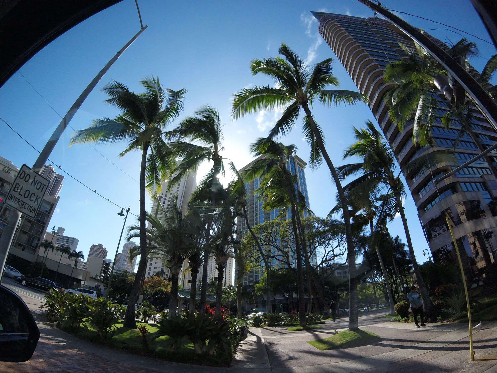 Fisheye downtown Honolulu